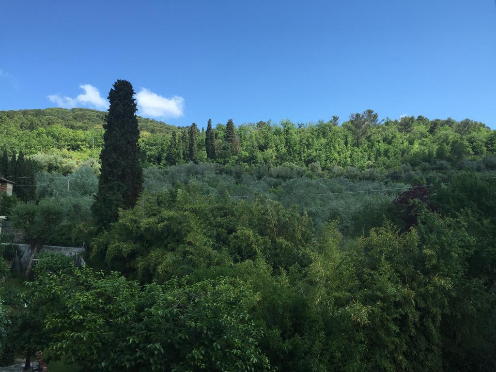 Villa Nobili B&B Bagno A Ripoli Exterior photo